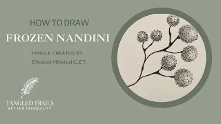 How to Draw Tangle Pattern Frozen Nandini by Certified Zentangle Teacher NKD