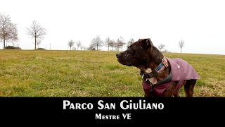 VE Mestre - Parco San Giuliano