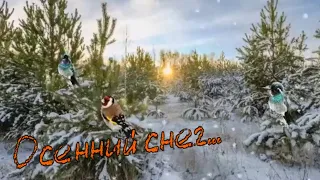 Юлия Шатунова- Осенний снег.