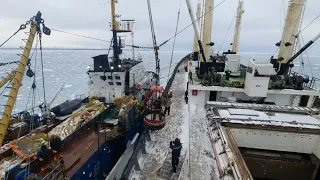 Работа в море. СТР "Тихий океан". Охотское море.