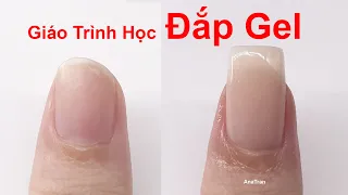 AHRI GEL PATCHING -AnaTran Nail