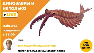 Занятие "Мир кембрийских монстров" кружка "Динозавры и не только" с Ярославом Поповым