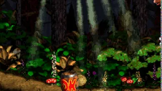 DKC2 Through the Ground Death