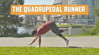 World's Fastest Quadrupedal Runner