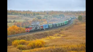 Тепловоз 2ТЭ10М-3134 с грузовым поездом на перегоне Усень - Кандры 02.10.2020