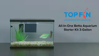 Top Fin All-In-One Betta Fishtank #Aquarium Kit Setup | YouTube