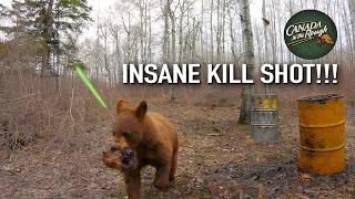 Bear Shot with a Bow (Insane Pass Through Shot Filmed on a GoPro)