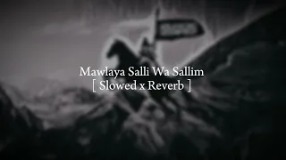 Maula ya salli wa sallim Lofi [ Slowed x Reverb ] Arbic Nasheed!