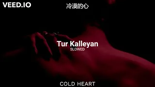 Tur Kalleyan (SLOWED DOWN) | Arijit Singh,Shadab Faridi & Altamash Faridi | 冷漠的心 AKA COLD HEART