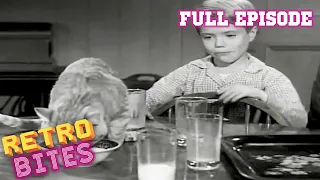 Lassie | Cat That Came To Dinner | Full Episodes