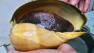 Monster Sea Snail Salad (Kilawin) | How to clean and cook Giant Sea Snail for my next Mukbang!