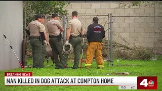 1 killed in Compton dog attack