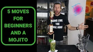 5 Beginner Flair moves + Mojito Cocktail with (bonus moves & upgrades)