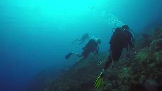 May 18, 2024 - Diving the Aquarium with Bottom Time Scuba Roatán