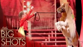 Bella Teaches Horse Circus Skills! 🐴 @BestLittleBigShots