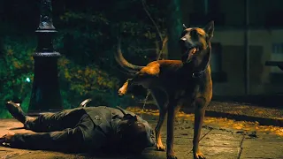 John Wick 4 Dog Peeing Scene | Best Funniest Sence in John Wick: Chapter 4