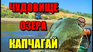 ЧУДОВИЩЕ ОЗЕРА КАПЧАГАЙ!!! Тайны Капчагая. #казахстан #рыбалка