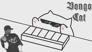 Bongo Cat Still D.R.E. Meme