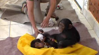 Santuário dos Macacos (Programa Em Alta 09/10/11)