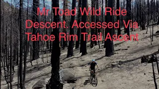 Mountain Bike Ride on Mr. Toad's Wild Trail After Ascent up Tahoe Rim Trail (Grass Lake) MTB / 4K