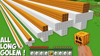 I can SPAWN LONG GOLEM OF ALL SIZES in Minecraft ! TINY, SMALL, NORMAL, BIG, BIGGEST, TITAN GOLEM !
