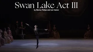 #DigitalDance - Prince Siegfried Variation Act III from Swan Lake | Atlanta Ballet