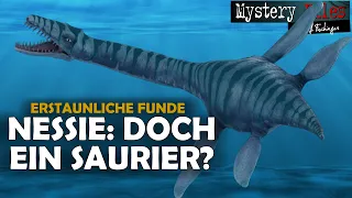 Spannende Funde in Marokko: Nessie im Loch Ness – könnte (theoretisch) doch ein Plesiosaurier sein