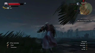 The Witcher 3 wild hunt Basilisk kill one shot