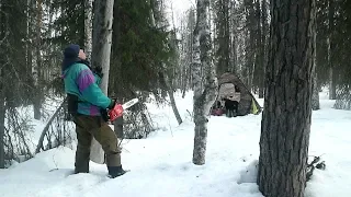 Бензопила, палатка и печка в тайге (первая часть)