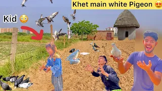 Chota don pakda kabutr🤩(Small kid try to catch white pigeon from field 🌾)