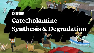 Catecholamine Synthesis & Degradation (Part 1) | Sketchy Medical | USMLE Step 1