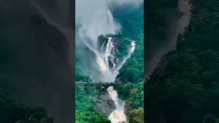 Dudhsagar Waterfall  #waterfall #goa #dudhsagar falls #shorts