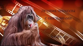 ЛУЧШИЕ ПРИКОЛЫ С ОБЕЗЬЯНАМИ ЧАСТЬ 2