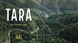 4K - Национални парк Тара,  Србија / National park Tara, Serbia