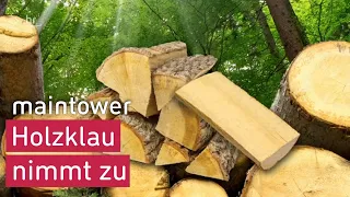 Weil Gas und Öl unbezahlbar werden – Holzklau nimmt zu | maintower