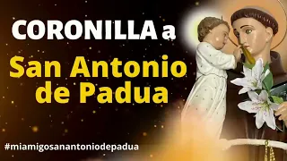 CORONILLA A SAN ANTONIO DE PADUA | MI AMIGO San Antonio de Padua