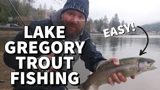 Lake Gregory Winter TROUT Fishing | RAINBOW Trout | San Bernardino Mountains | 4K