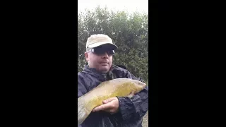 Tench fishing in the wind and testing the chilli tech 120 camera