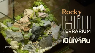 สวนขวดเนินเขาหิน | Rocky Hill Terrarium Idea