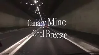 Canary Mine - Cool Breeze - Remix 2016