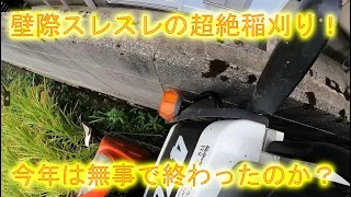 超市街地の壁際だらけの稲刈りスタート・新車を擦るのイヤなのでＥＲ４７０初号機で出動・2023