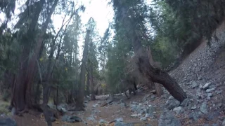 Approaching Comanche Campground, Middle Fork Trail, Lytle Creek