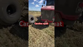 Swather taking a nap 😅 #silage #farmequipment #farming #farmtech #farmmachinery