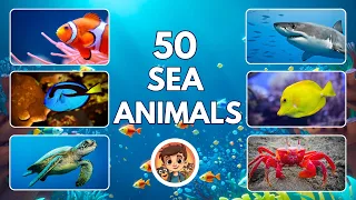 50 Sea Animals for Kids | Ocean Animal Names | English Vocabulary for Preschool