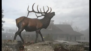 40th Anniversary - The Story of the Rocky Mountain Elk Foundation