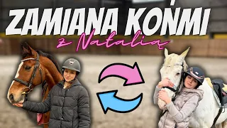 ZAMIANA KOŃMI Z NATALIĄ🦊