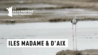 Les îles Aix et Madame - Îles Atlantiques - Les 100 lieux qu'il faut voir - Documentaire