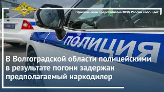 Ирина Волк: В Москве полицейскими задержаны подозреваемые в финансировании терроризма