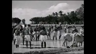 NANDHANAR (1942)-Kaamam agatriya thooyan avan-M.M.Dhandapani Desikar-M.D.Parthasarathi