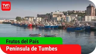 Frutos del país | Península de Tumbes